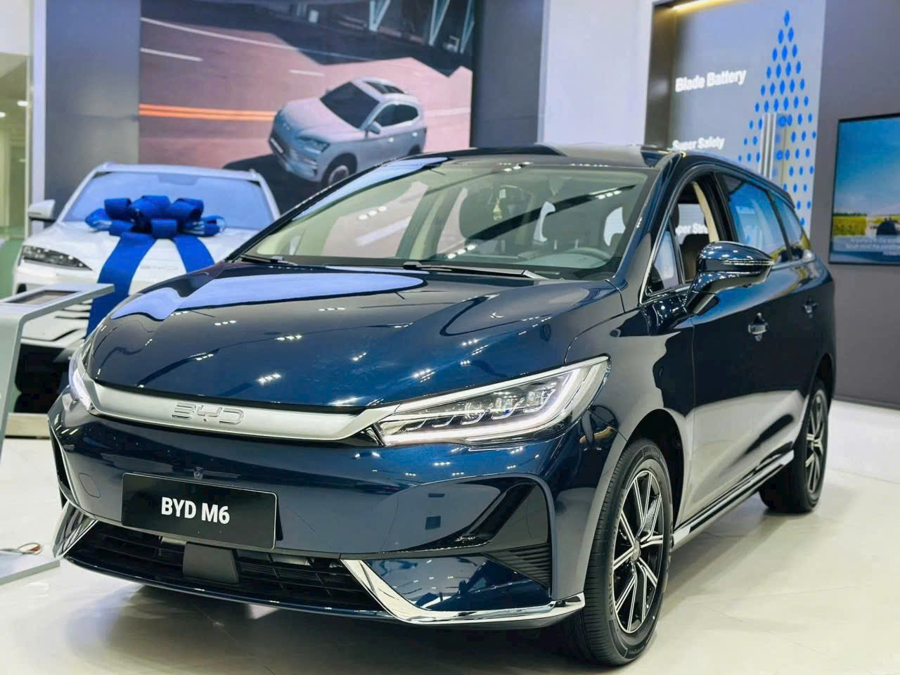Xe Byd M6 2026