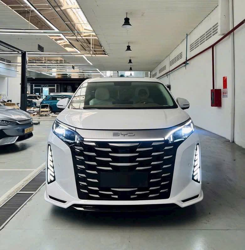 Xe Điện Byd M9
